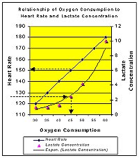 Graph of heart rate, lactate and VO2 depicting 'Lactate Threshold'